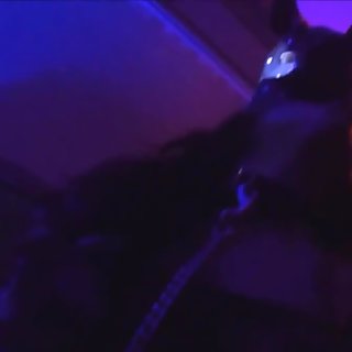 BDSM BrandMae and Giant Puppy Cock-MoreVids