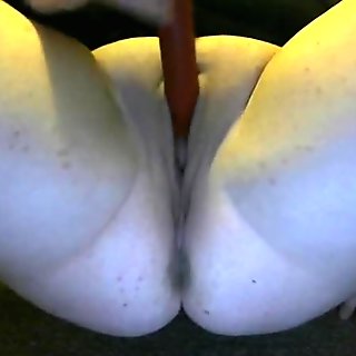 Best Edging Masturbation Video Ever Pretty White Girl Huge Tits Big Booty